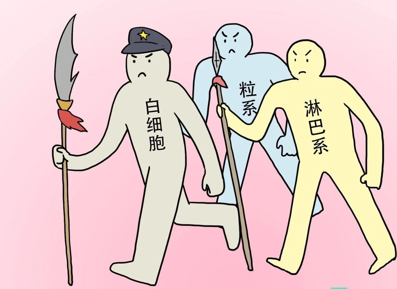 ѪҎ(gu)м^ǽt